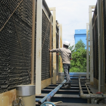 TẨY CÁU CẶN VI SINH CHO MÀNG RO