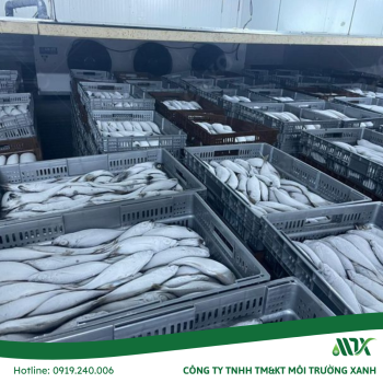 KHO LẠNH THUỶ  SẢN